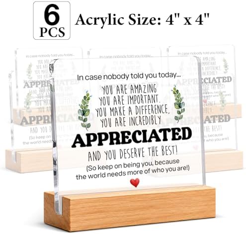 Thank You & Appreciation Gifts Bulk for Coworkers Friends, Set of 6