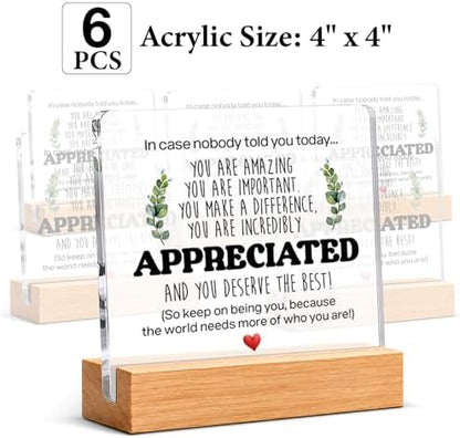 Thank You & Appreciation Gifts Bulk for Coworkers Friends, Set of 6