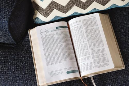 NIV, Couples' Devotional Bible