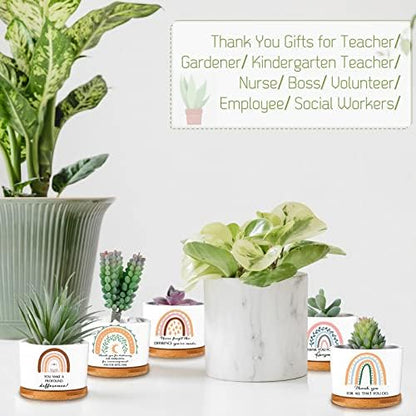 Sieral 6 Pcs Staff Appreciation Gifts Bulk Ceramic Pot for Coworkers
