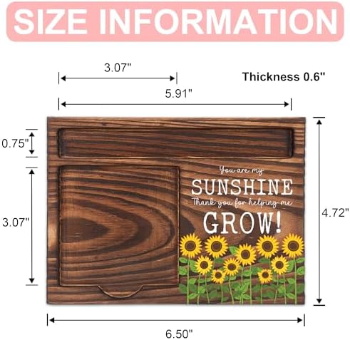 Teacher Thank You Gift Desk Organizer, Encouragement Appreciation Gift