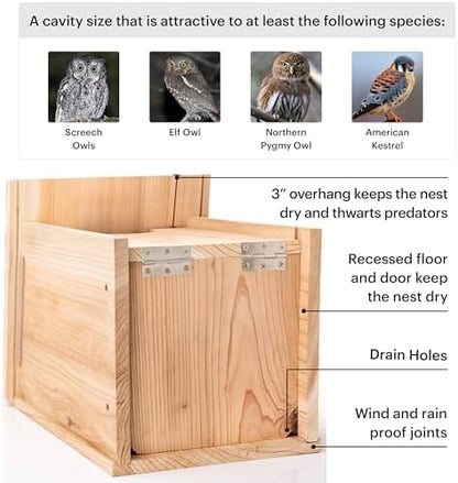 WHITEHORSE Large Cedar Owl House - Premium and Weatherproof Design