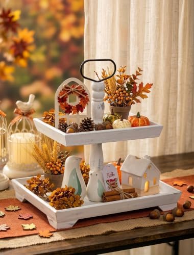 Hanobe 2 Tiered Decorative Tray Stand for Coastal Beach Coffee Table