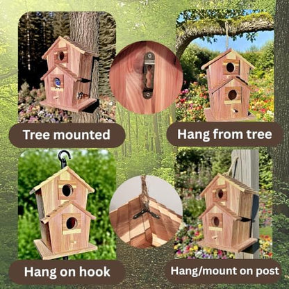 Cedar Bird House for Outside, Wooden Birdhouse for Outdoors, Bluebird