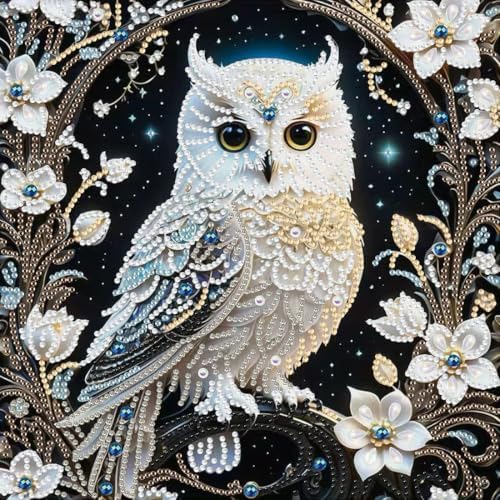 Owl Special Shape Diamond Painting Kits for Adults DIY crafts 12 x