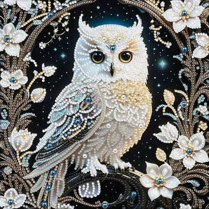 Owl Special Shape Diamond Painting Kits for Adults DIY crafts 12 x
