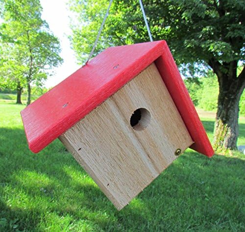 JCs Wildlife Cedar and Poly Wren Chickadee Warbler Bird House, Red