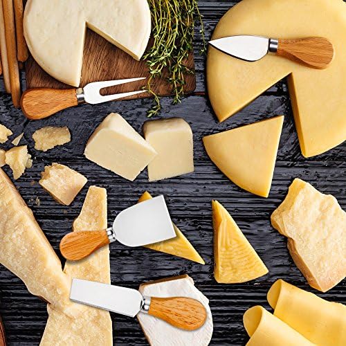 4 Cheese Knives Set - Cheese Knife,Cheese Fork,Cheese Slicer,Butter