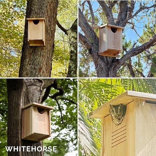 WHITEHORSE Large Cedar Owl House - Premium and Weatherproof Design