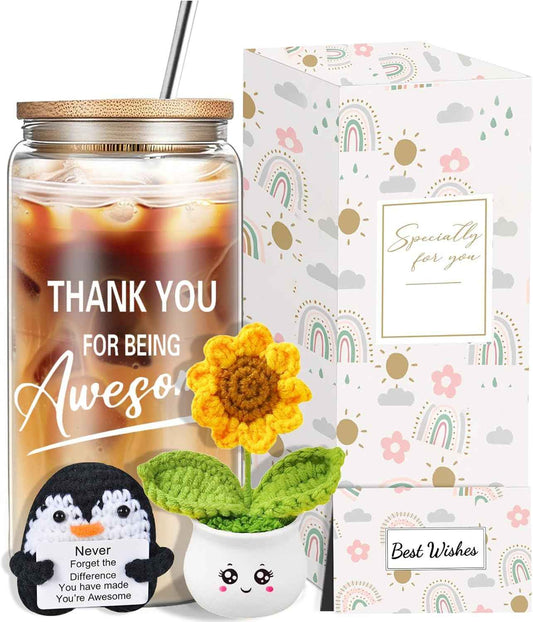 DHQH Thoughtful Thank You Gifts for Women, Inspirational Appreciation Gifts Box for Coworkers Employees Teachers Nurse, Christmas Gift with Glass Cup Dolls