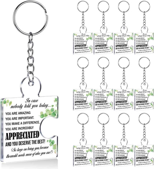 Team Appreciation Gifts Bulk for Coworkers Employees Colleagues, Thank You Gift Set Acrylic Puzzle Piece Keychains