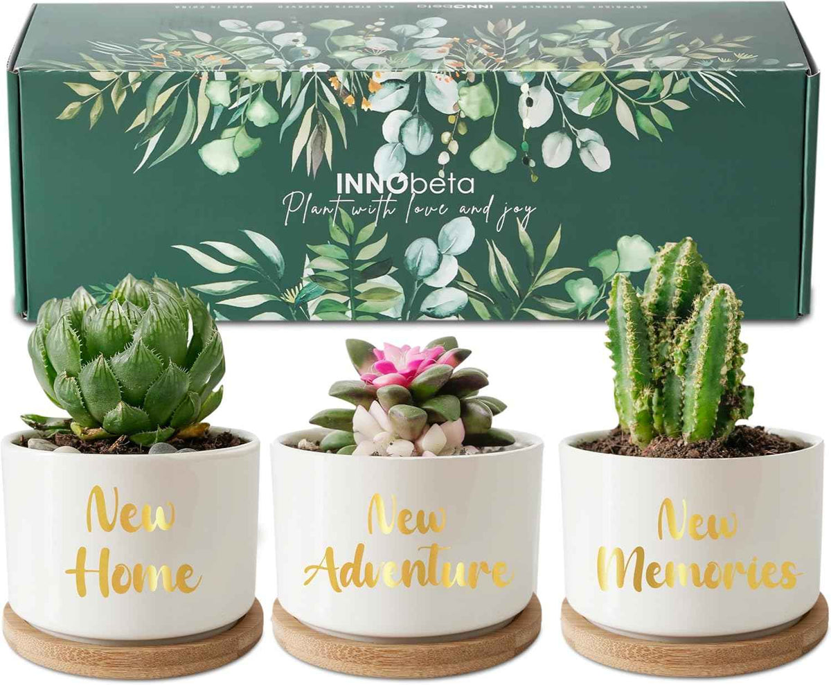 InnoBeta House Warming Gifts Succulent Plant Pots 3pcs, Gifts for House Warming, Planter Pot with Bamboo Tray for New Home, Plants NOT Included