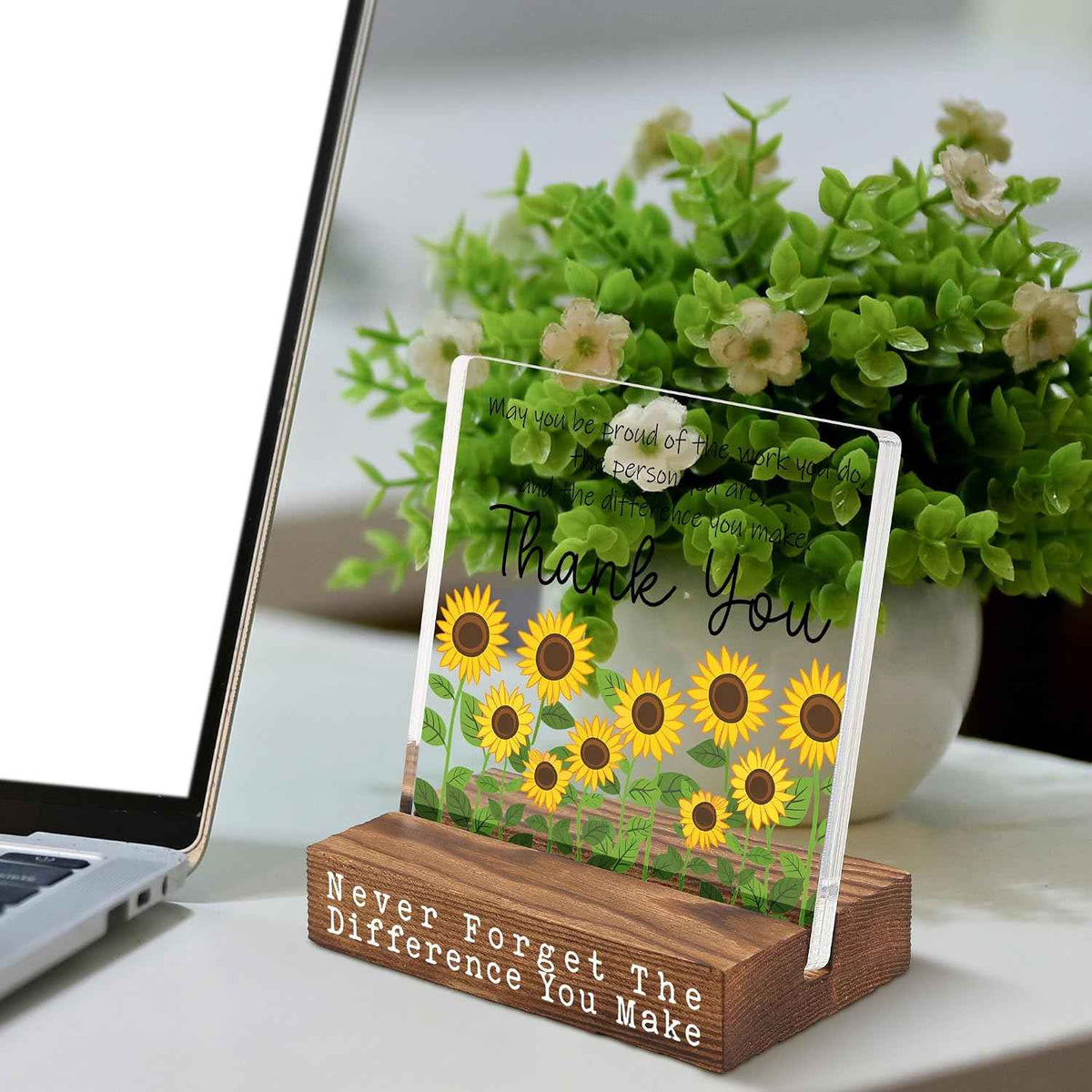 Thank You Gift Desk Decor Sign for Coworker Teacher Nurse, Appreciation Gift for Women Men, Inspirational Desk Decor Gift Idea, Employee Recognition Retirement Farewell Gift Plaque - FSF812